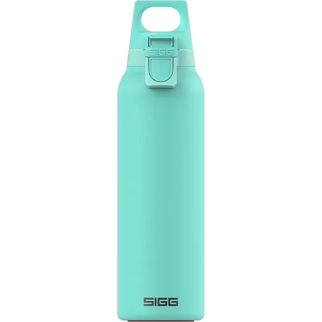 sigg-hot-cold-one-isolierte-trinkflasche-0-55-l-mit-teesieb-bpa-frei-18-8-edelst image 1