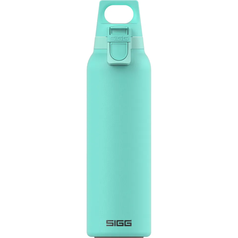 sigg-hot-cold-one-isolierte-trinkflasche-0-55-l-mit-teesieb-bpa-frei-18-8-edelst image 1