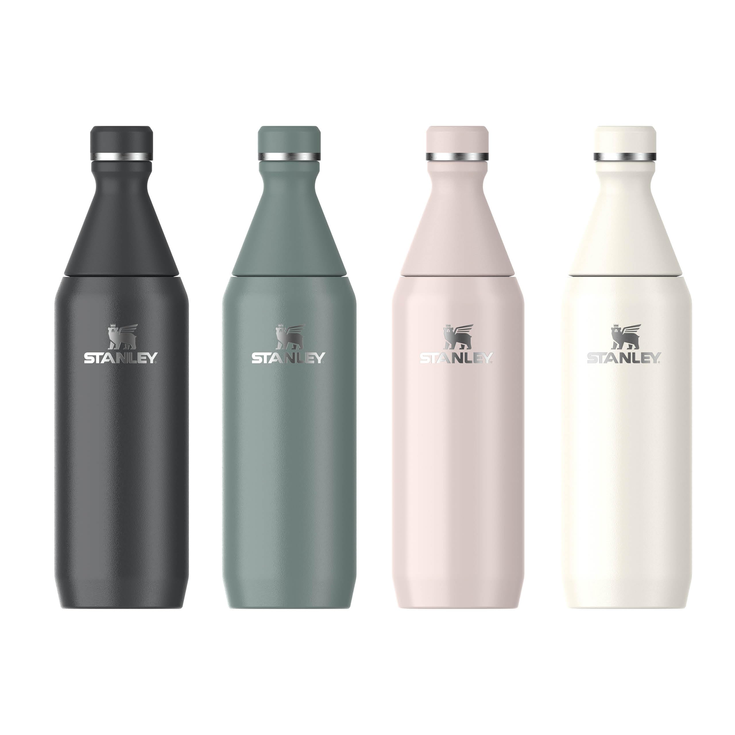 stanley-1913-all-day-slim-trinkflasche-0-6l-shale image 8
