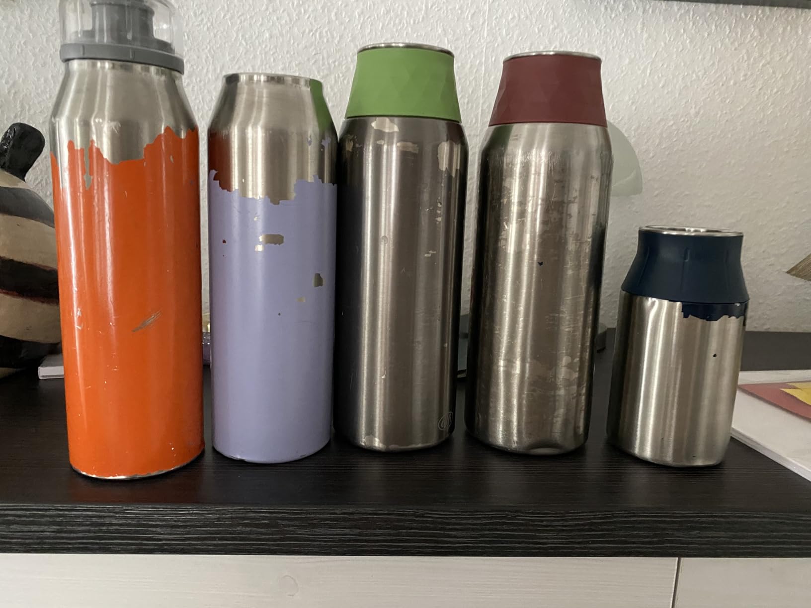 Toller Begleiter fürs Gym