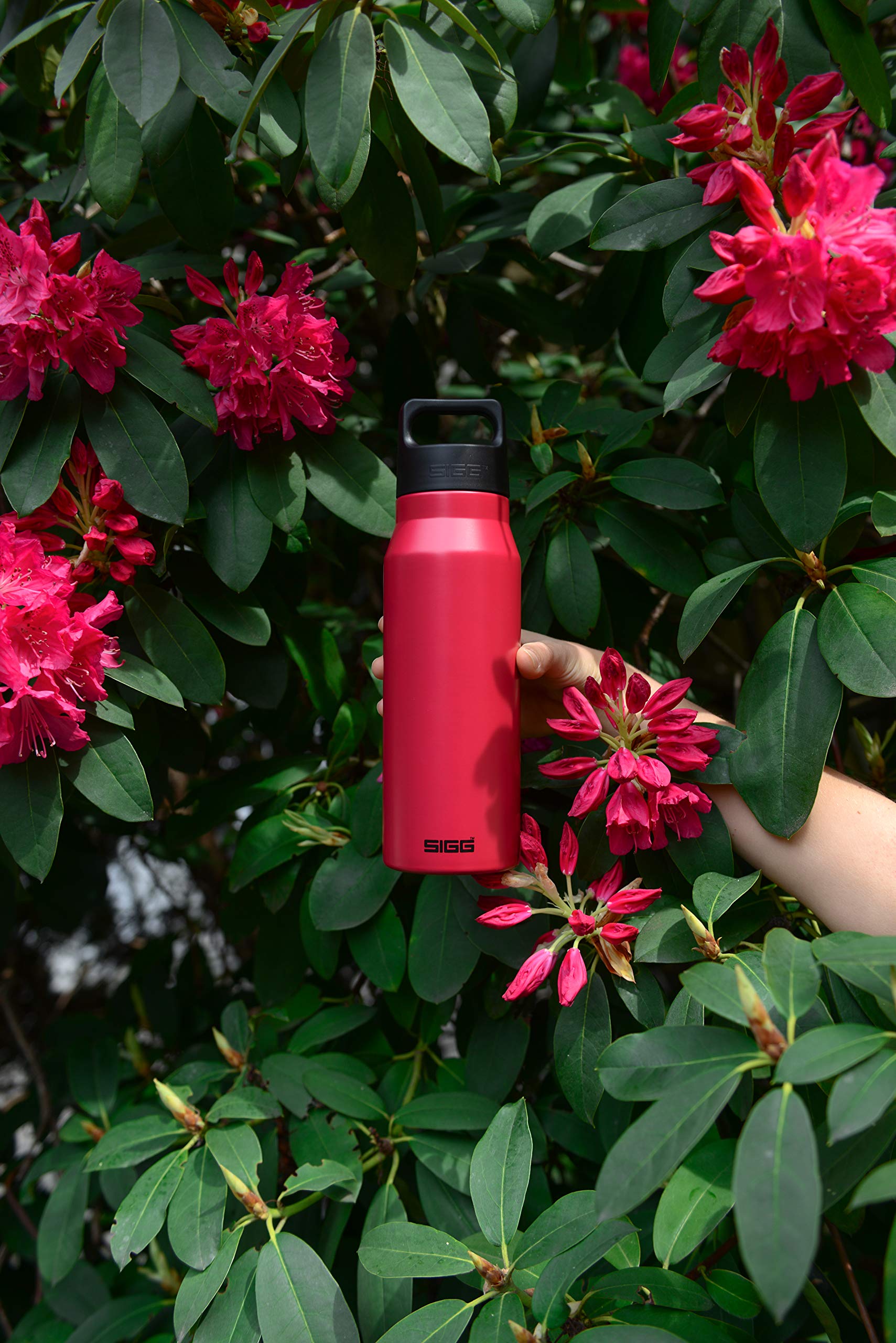 sigg-explorer-edelstahl-trinkflasche-0-75l-f-r-kohlens-urehaltige-getr-nke-ausla image 6