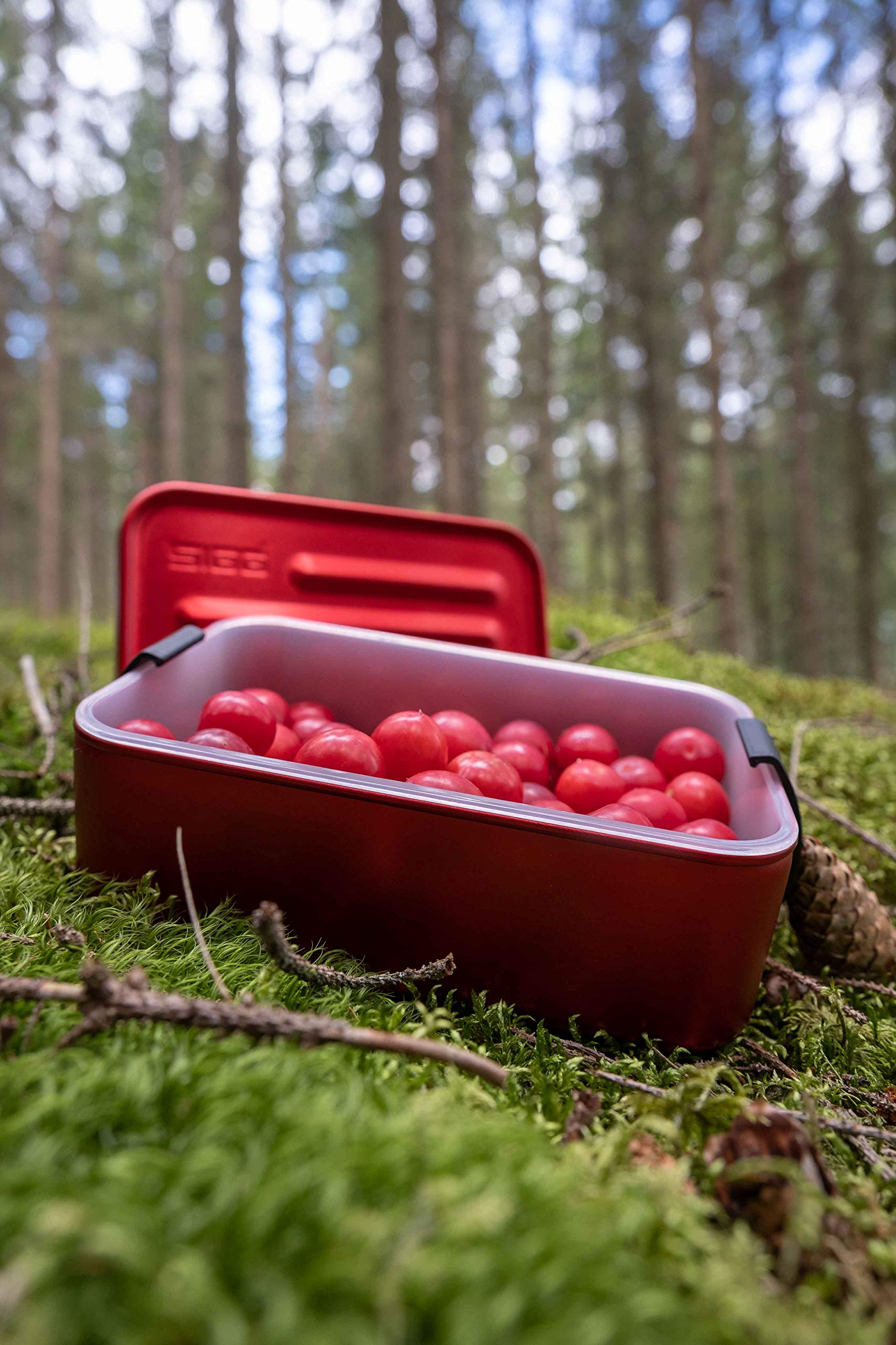 sigg-metal-box-plus-l-rote-lunchbox-1-2-l-leichte-aluminium-brotbox-mit-silikon- image 3