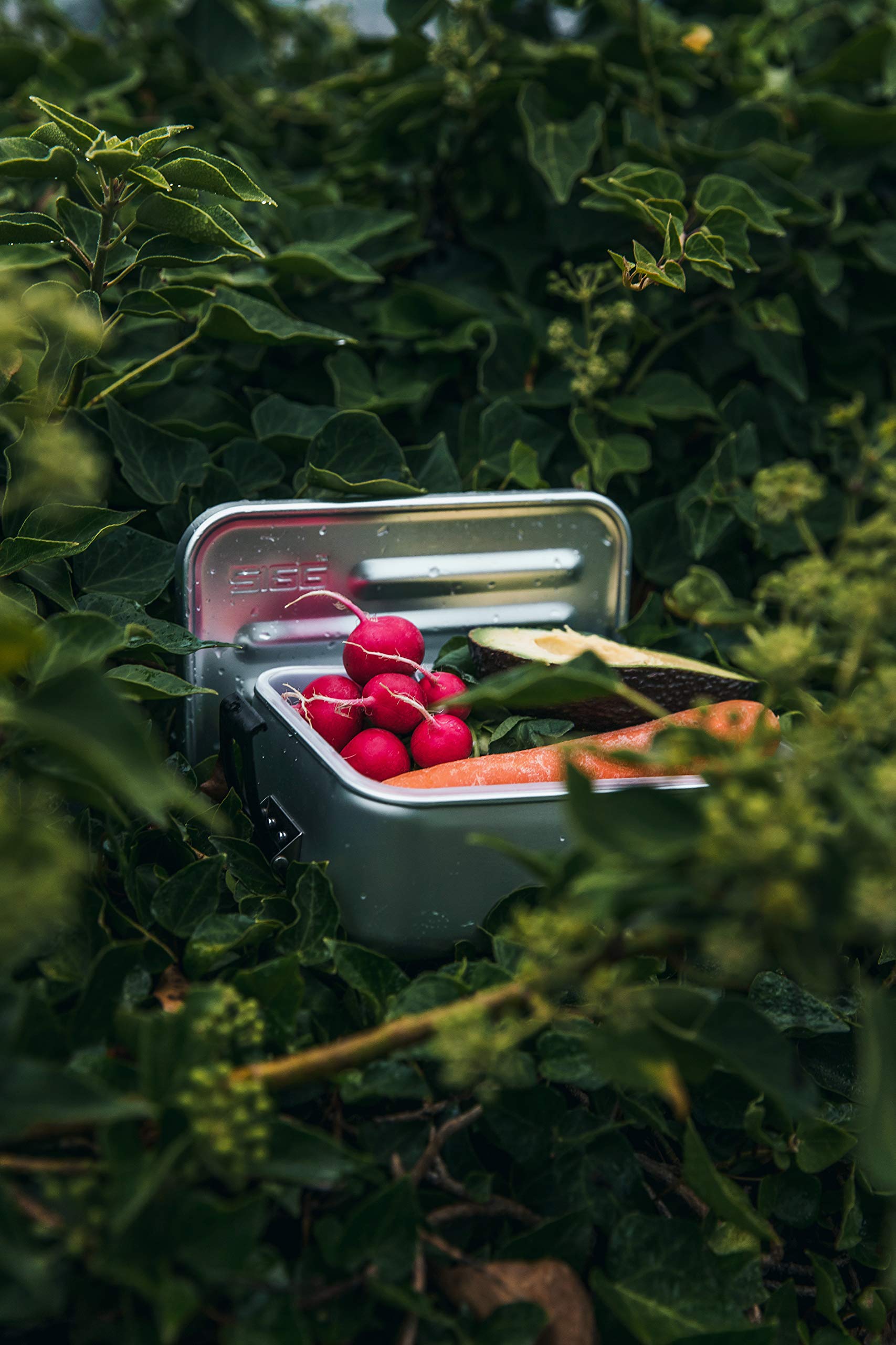 sigg-metal-box-plus-l-alu-lunchbox-1-2-l-leichte-aluminium-brotbox-mit-einsatz-u image 3