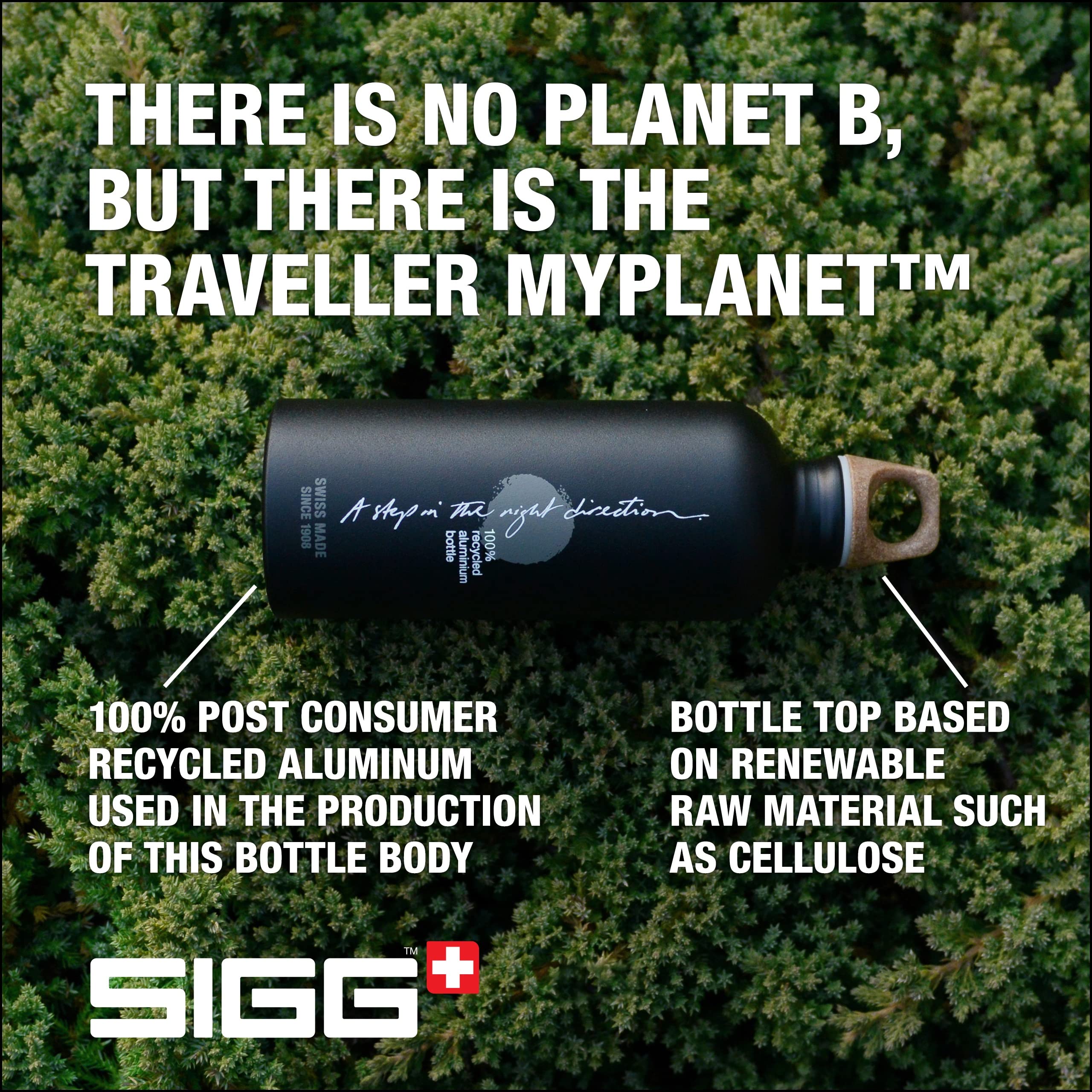 sigg-traveller-myplanet-alu-trinkflasche-0-6-l-kohlens-urefest-auslaufsicher-bpa image 4