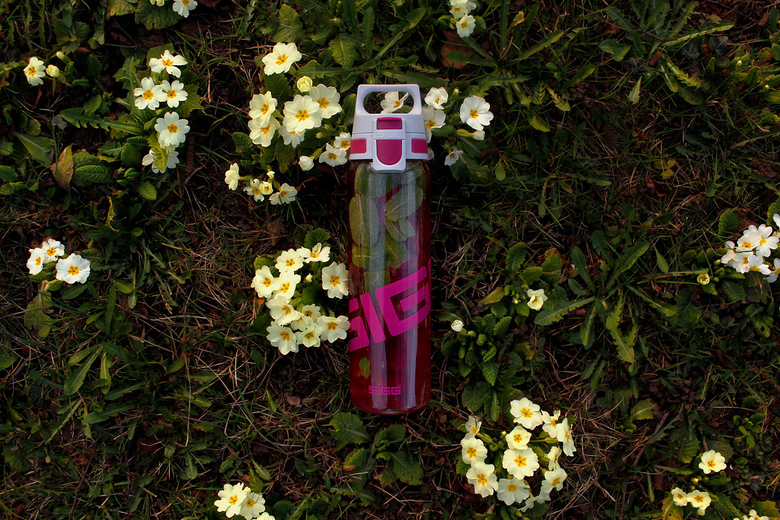 sigg-tritan-trinkflasche-total-clear-one-berry-0-75-l-leicht-bpa-frei-f-r-sprude image 8